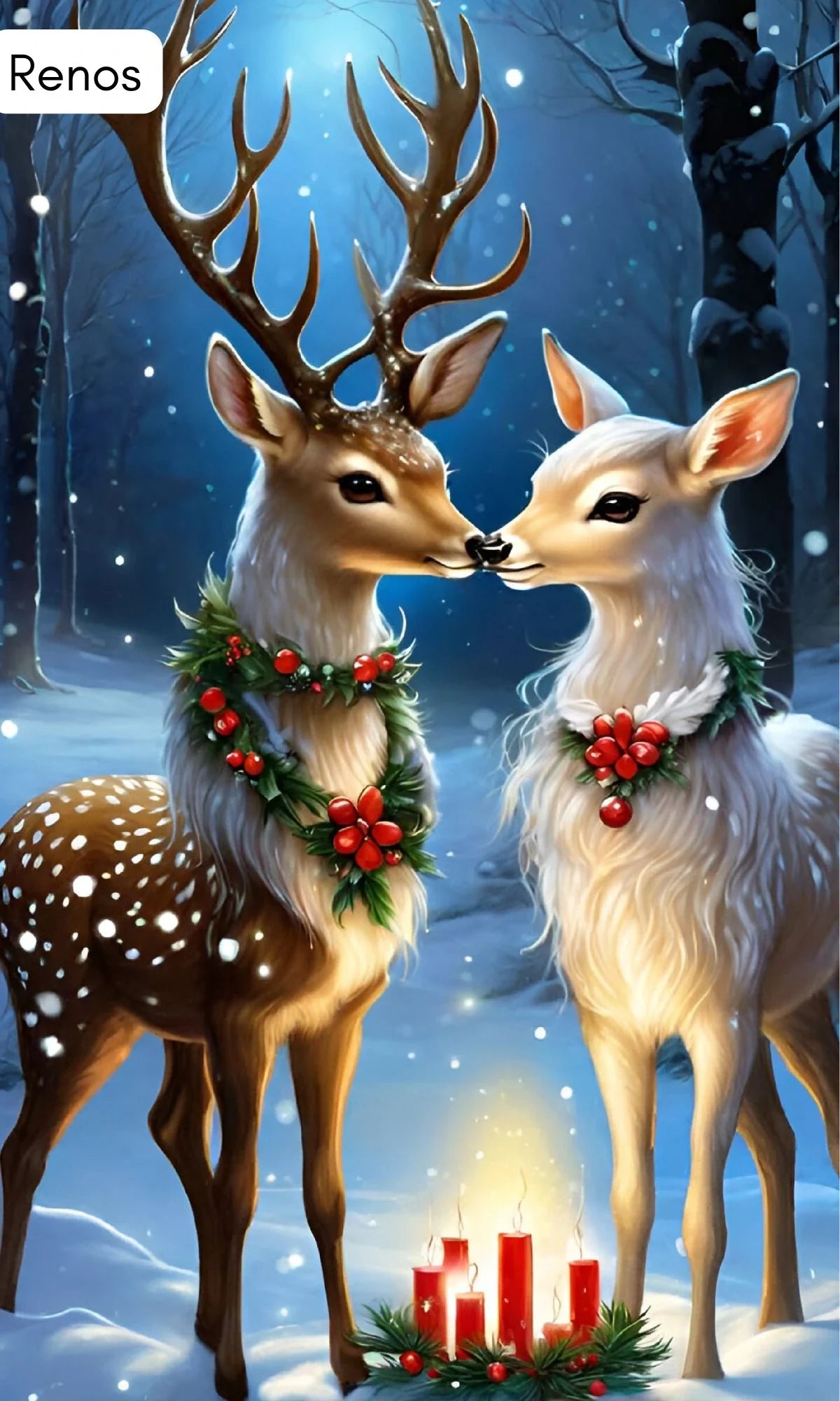 Fundas ULTRA HD para Puertas